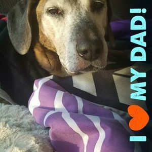 Meet your Posher, Rob